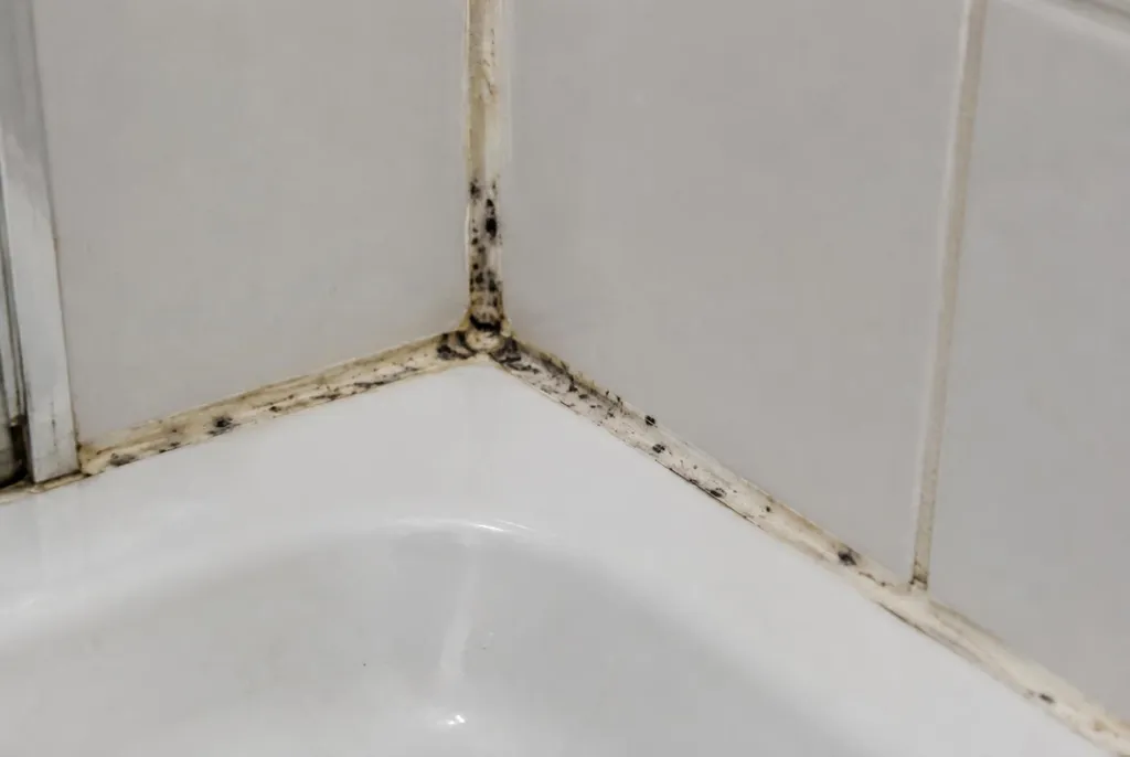 Kitbedrijf Cothen – beschimmelde kitranden